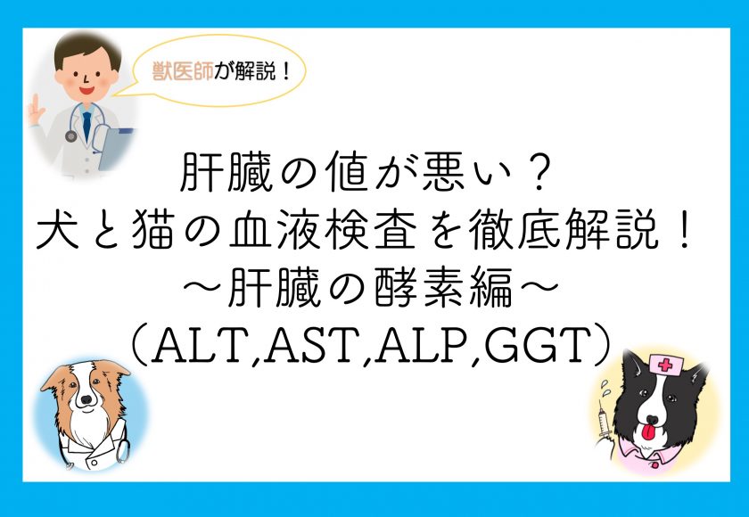  GTT テストには何が含まれますか?