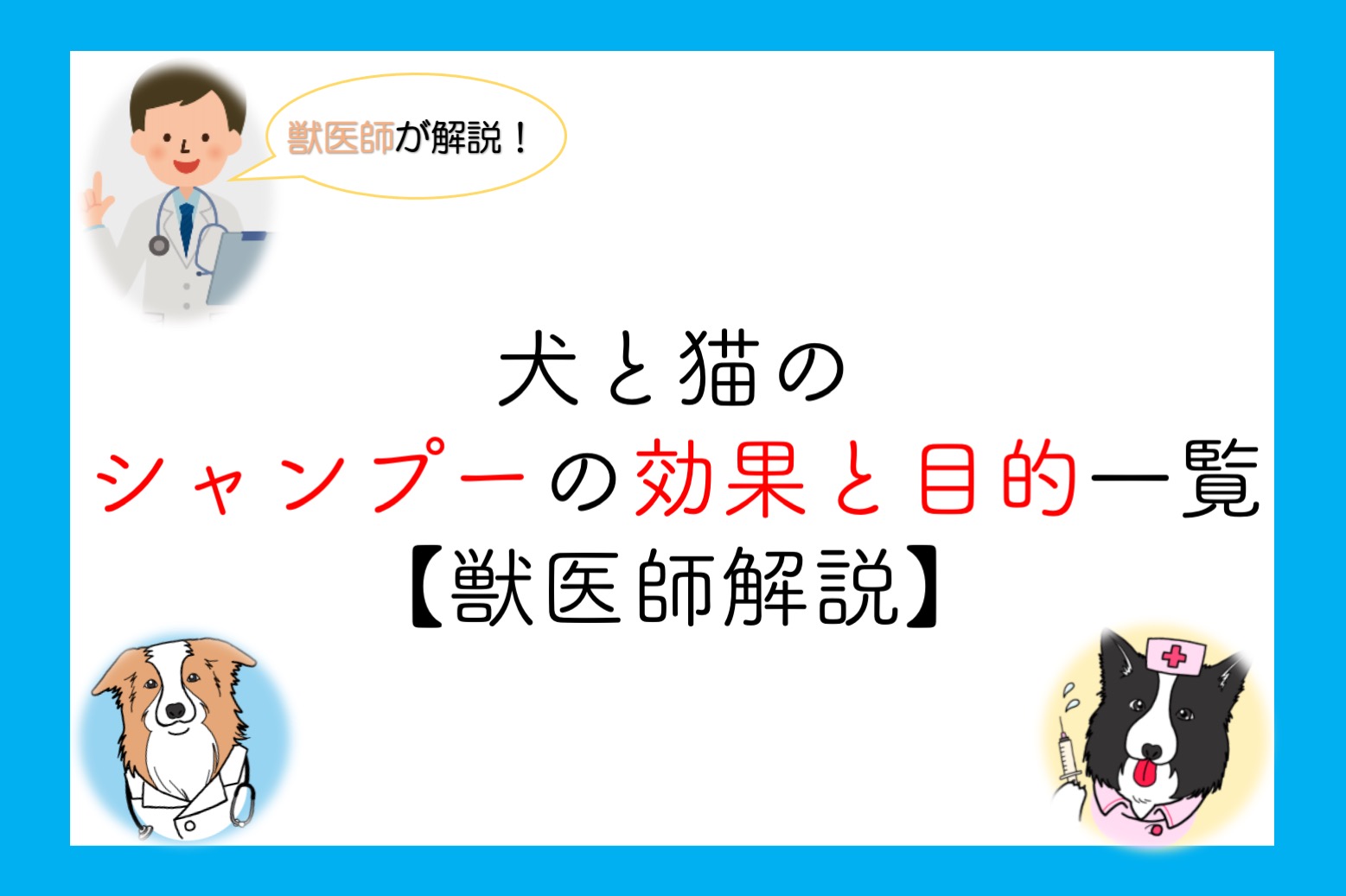 獣医師おすすめ 犬と猫のシャンプーの効果と目的一覧 獣医師解説 Life With Dogs And Cats